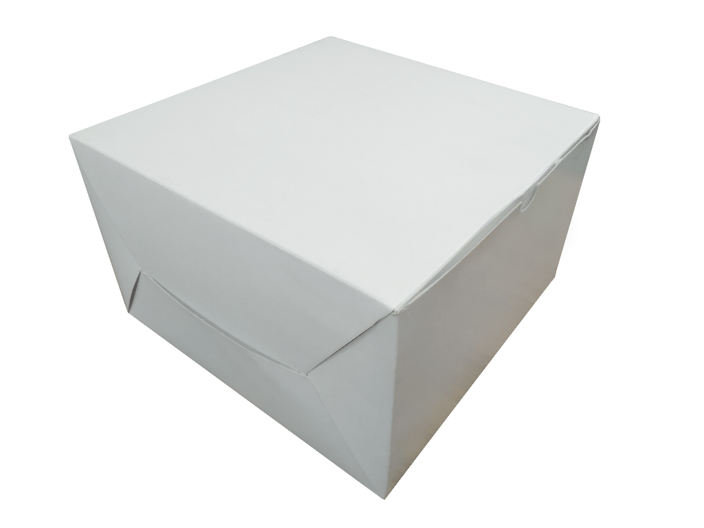 Burger, Roll, Dosa & Idli Boxes View 2