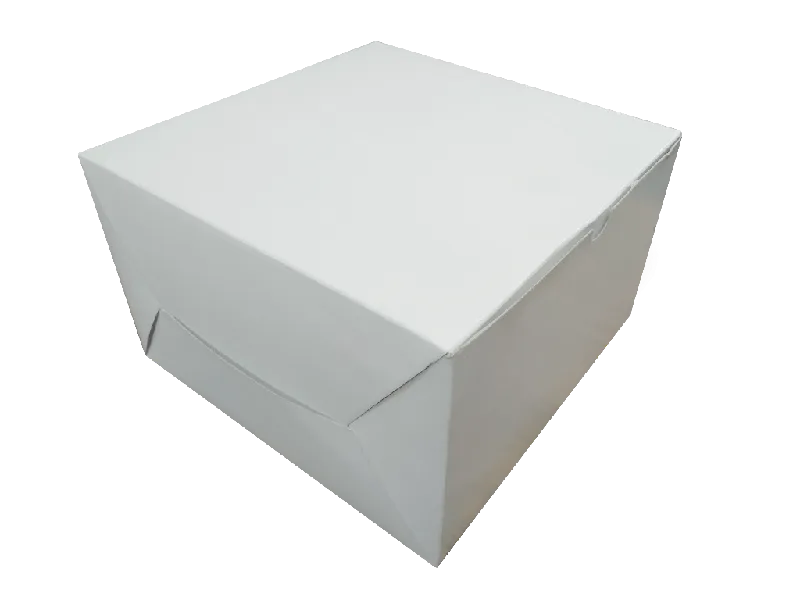 Burger, Roll, Dosa & Idli Boxes View 2
